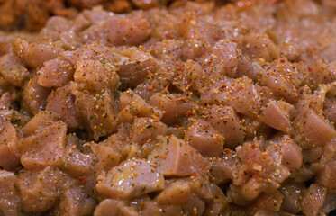 Piece of chicken prepared with spices and aromatics in close-up.