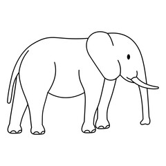 Elephant