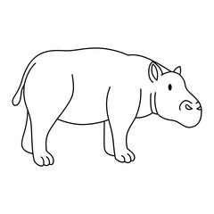 Hippopotamus