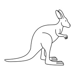 Kangaroo