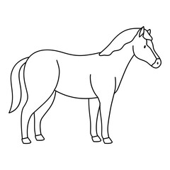 Horse