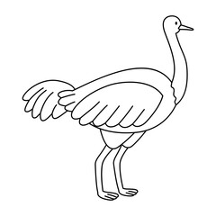 Ostrich