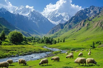 Fototapeta premium Grazing sheep in lush mountain valley landscape