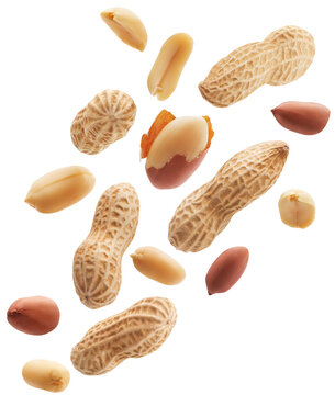 Peeled, unpeeled and whole shell peanuts