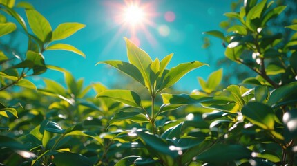 Obraz premium Vibrant sunlit green leaves create a fresh nature background ideal for copy space and design elements in natural themes.