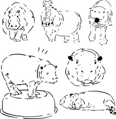 Line art of a hippo in many poses.