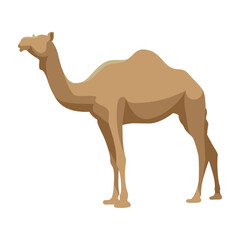 Vector illustration of a cute camel in flat style art