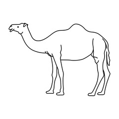 Vector illustration of a cute camel in line art style