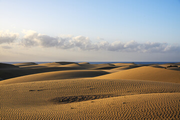 Fototapeta premium Maspalomas dunes in morning, Gran Canaria, Spain.