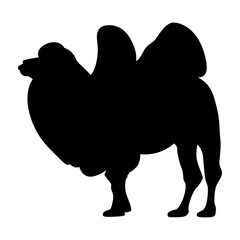 Vector illustration of a camel silhouette