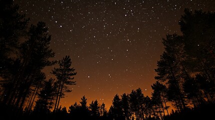 Fototapeta premium Night Sky Wonders: Silhouette of Trees Under a Starry Expanse