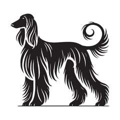 Clean and detailed Afghan Hound silhouette for various applications - Afghan Hound illustration - minimal Afghan Hound vector - dog silhouette
