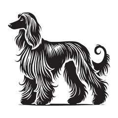 Afghan Hound silhouette crafted with sleek and flowing curves - Afghan Hound illustration - minimal Afghan Hound vector - dog silhouette

