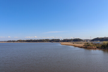 手賀沼（千葉県柏市）