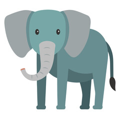 Fototapeta premium elephant 