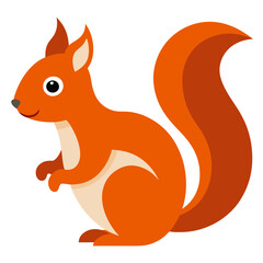 Fototapeta premium squirrel 
