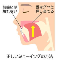 Obraz premium 正しいミューイングの方法 適正な舌の位置