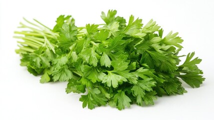 Obraz premium A high-quality image of crisp green parsley, showcasing its fresh texture and vibrant color against a clean white surface.