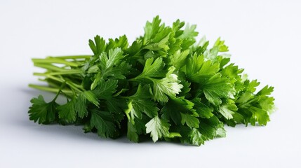 Fototapeta premium A high-quality image of crisp green parsley, showcasing its fresh texture and vibrant color against a clean white surface.