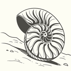 Obraz premium fossilized ammonite resting