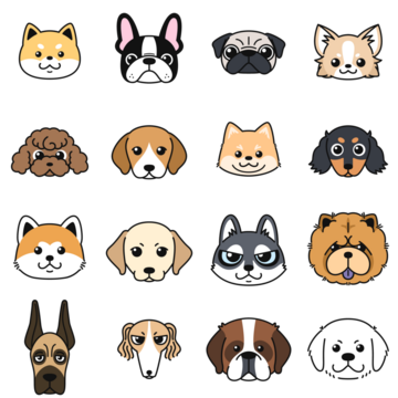 360_F_1250516547_bRcwr7bzJsMGk