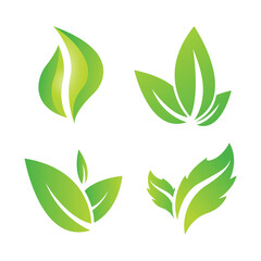 Naklejka premium green leaves vector