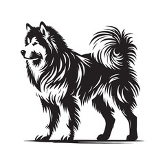 Obraz premium Alaskan Malamute silhouette featuring thick fur and sturdy stance - Alaskan Malamute illustration - minimal Alaskan Malamute vector - dog silhouette 