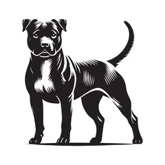 Sleek American Staffordshire Terrier silhouette perfect for design projects - American Staffordshire Terrier illustration - minimal American Staffordshire Terrier vector - dog silhouette

