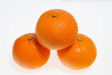 新鮮なオレンジ 津之輝　三重県産