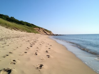 Footprints on the Beach: A serene coastal landscape with sandy shores