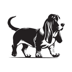 Basset Hound silhouette emphasizing its unique long body - Basset Hound illustration - minimal Basset Hound vector - dog silhouette
