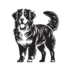 Majestic Bernese Mountain Dog silhouette capturing its strength - Bernese Mountain Dog illustration - minimal Bernese Mountain Dog vector 
