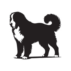 Well-defined Bernese Mountain Dog silhouette with iconic posture - Bernese Mountain Dog illustration - minimal Bernese Mountain Dog vector 
