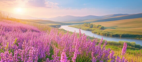 Fototapeta premium Vibrant landscape featuring blooming Lythrum salicaria amidst rolling hills and a tranquil river under a soft sunrise sky