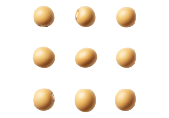 Collection of soy beans.