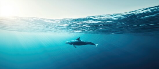 Majestic whale gracefully swimming in crystal clear blue ocean waters under a serene sky with ample space for overlay text