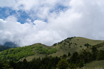 Fototapeta premium 爽やかな夏の高原