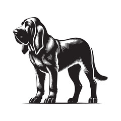 Bloodhound silhouette perfect for branding and custom artwork - Bloodhound illustration - minimal Bloodhound vector - dog silhouette
