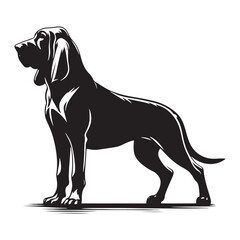 Bloodhound silhouette showcasing powerful stance and presence - Bloodhound illustration - minimal Bloodhound vector - dog silhouette
