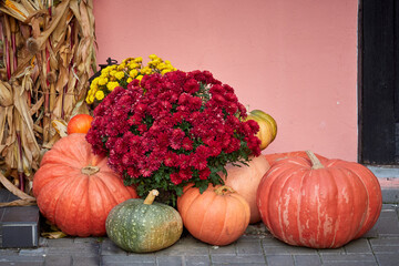Autumn still life with pumpkins and flowers for Halloween