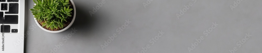 Poster minimalist remote work scene sleek laptop and succulent on gray desk - contemporary business content