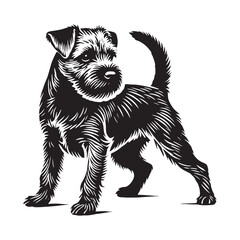 Clean and simple Border Terrier silhouette with sharp edges - Border Terrier illustration - minimal Border Terrier vector - dog silhouette

