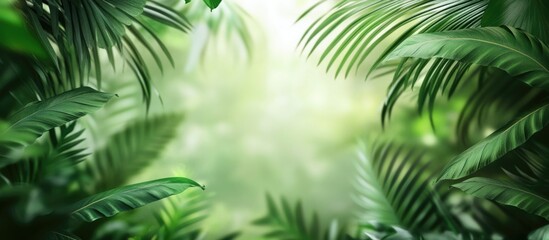 Obraz premium Lush tropical foliage with soft green blur creates a serene natural background ideal for relaxation and peaceful settings