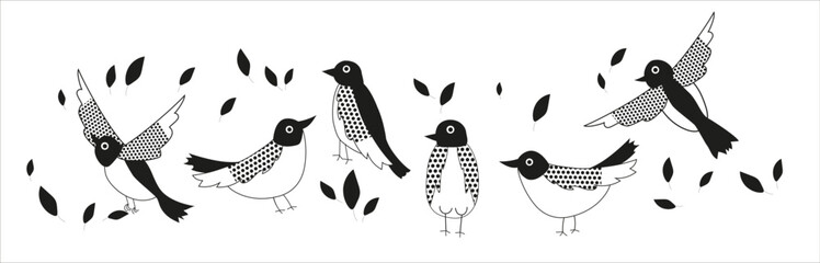 pattern with black and white birds