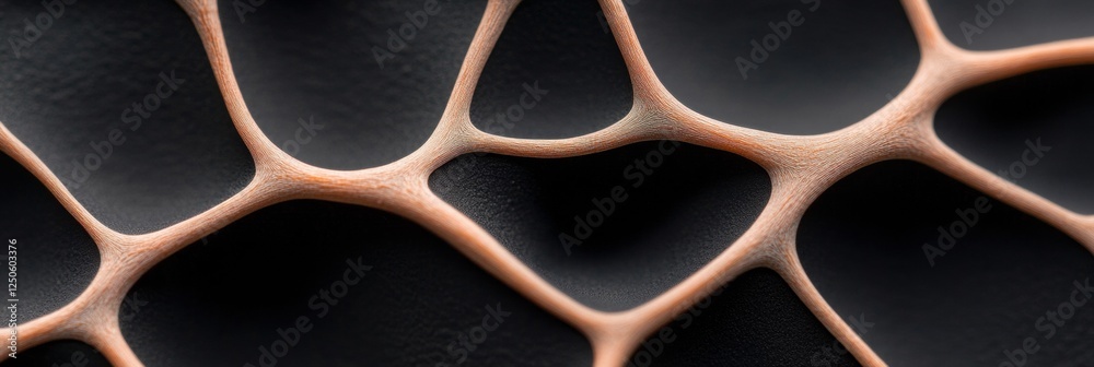 Poster contemporary biomimicry art intricate organic patterns over matte surface innovative design for mode
