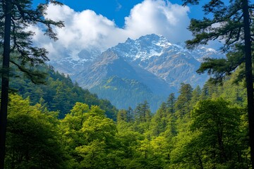 Fototapeta premium Majestic snow-capped mountains viewed through lush forest valley