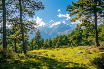 Mountain meadow, pine trees, sunny day, Himalayan vista, travel poster
