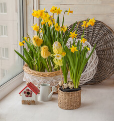 Easter decoration window yellow daffodils, stickers-chickens and eggs