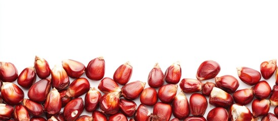 Obraz premium Dried red corn kernels arranged on a white background showcasing their rich texture and vibrant color perfect for culinary or agricultural themes.