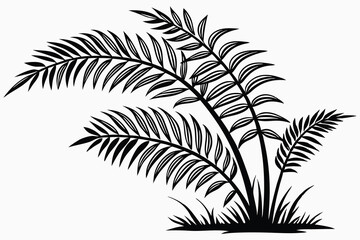 Needle Palm Silhouette